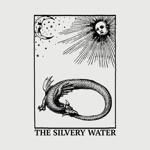 The Silvery Water’s avatar