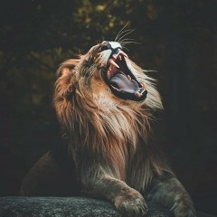 Jah lion