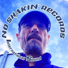 NoShakin' Records