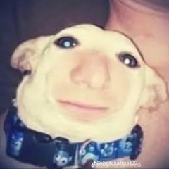 DogChildPredator