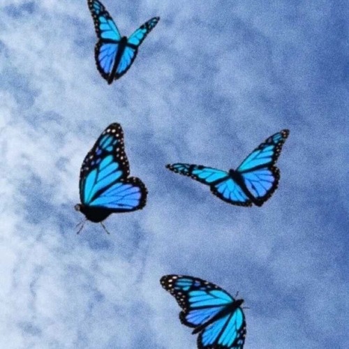 COCO WRLD (prod. by Stinhow)