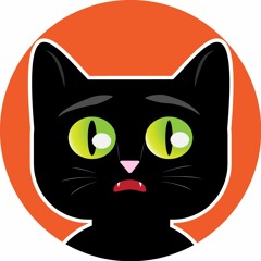 Zoom Zoom Kitty Kitty