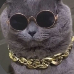 UnrulllyyBad_AriesGad