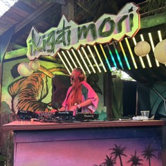 Holly Housecat ~ Miss Zolly