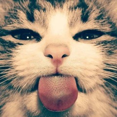 😝