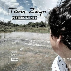 Tom Zayn