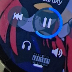 XLayeezyX