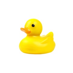 DUCKY