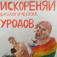 Mr.Profka