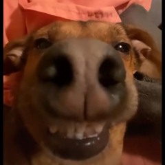 Paulo