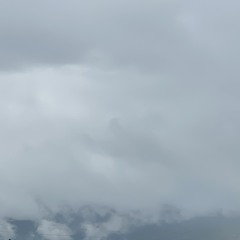 Hoàng Vũ