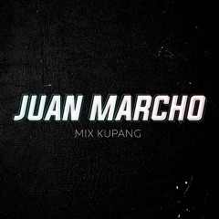JUAN MARCHO
