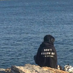 Lilyblueboo