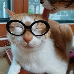 Leeknowscattt