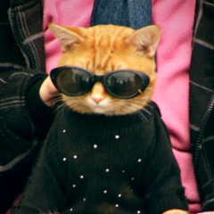 Tipsy Cat
