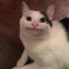 Bảy Sắc Cầu Vồng