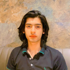 usman bashir