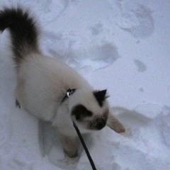 in the dead of winter