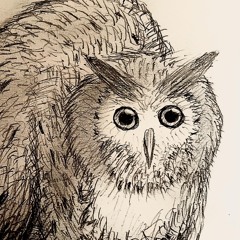 hakum / はくむ