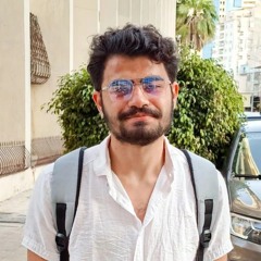 حمادة الشافعى