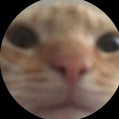 mae