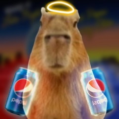 vaporcapybara