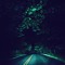 The Confidential Realm