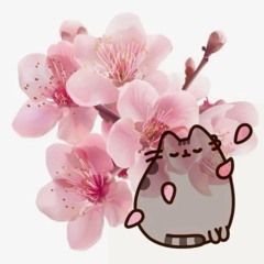 mawa