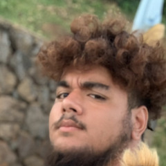 PAPA AVES