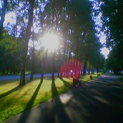 stillsixteen