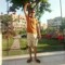 احمد نبيل