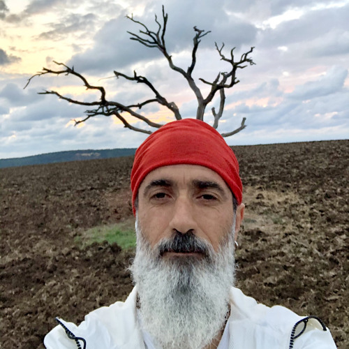 Muratfesih Avcibasi’s avatar
