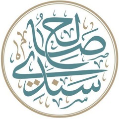 أ.د صالح بن عبد العزيز سندي