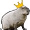 CAPYBARA