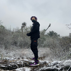 Martiz Mx