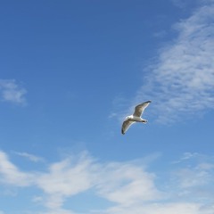 PaulM
