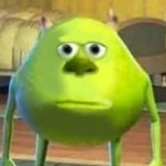 Kyte