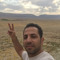 رضا تیموری