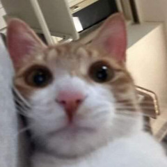 Zokuu