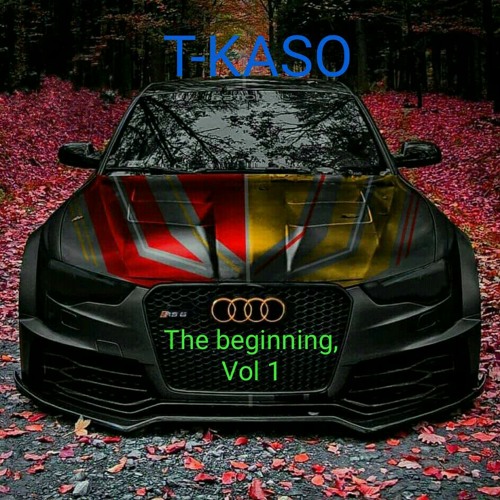 T-KAS0’s avatar