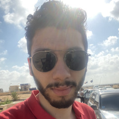 Mohamed Hesham