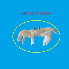 Miguel Ángel Salazar Hernández