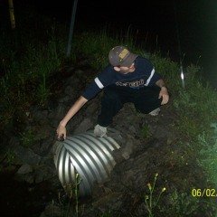 skullish.flac