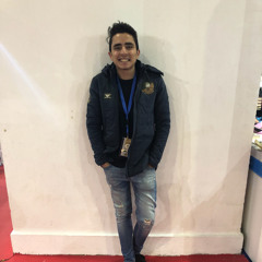 Ahmed Aboalmaaty