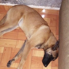 iriebless lirikal fyah