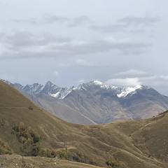 Giorgi