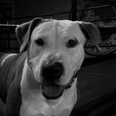 Серго Греков