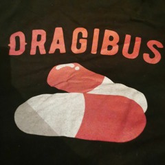 DRAGIBUS BZH