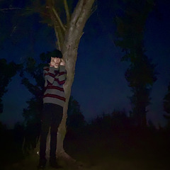 TrappedNSoli2D