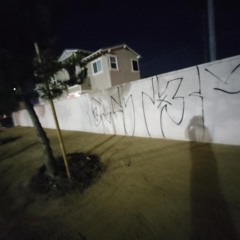 ESxTORRANCE 13 YGS CK
